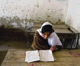 国产欧美非洲免费视频,欧美非洲免费视频大揭秘